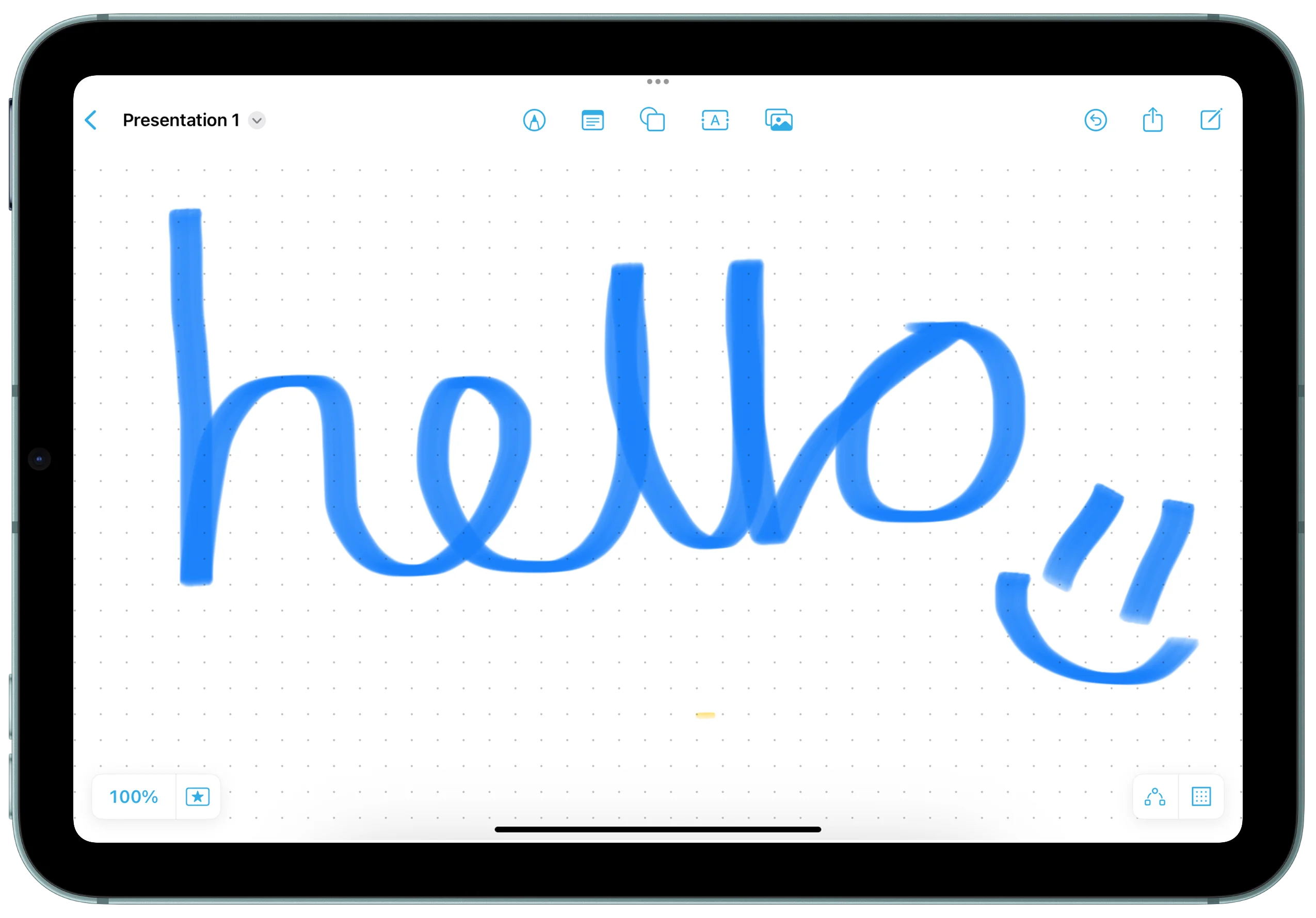 iPad mirrored in Mirror Input